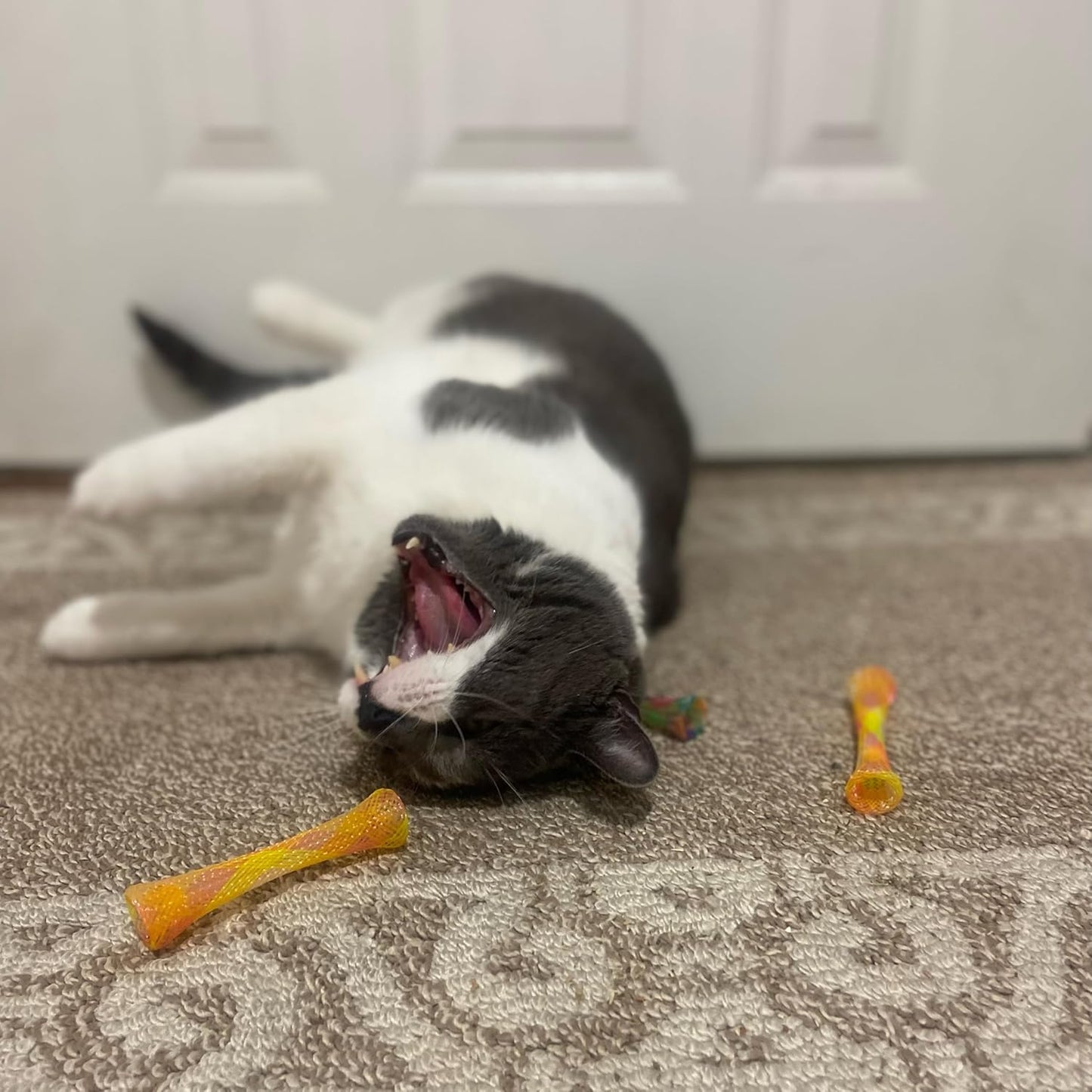 Ethical Pet Catnip Cat or Kitten Toy, Colorful Fun Tubes. Interactive Bouncy Cat Toy, Assorted Color