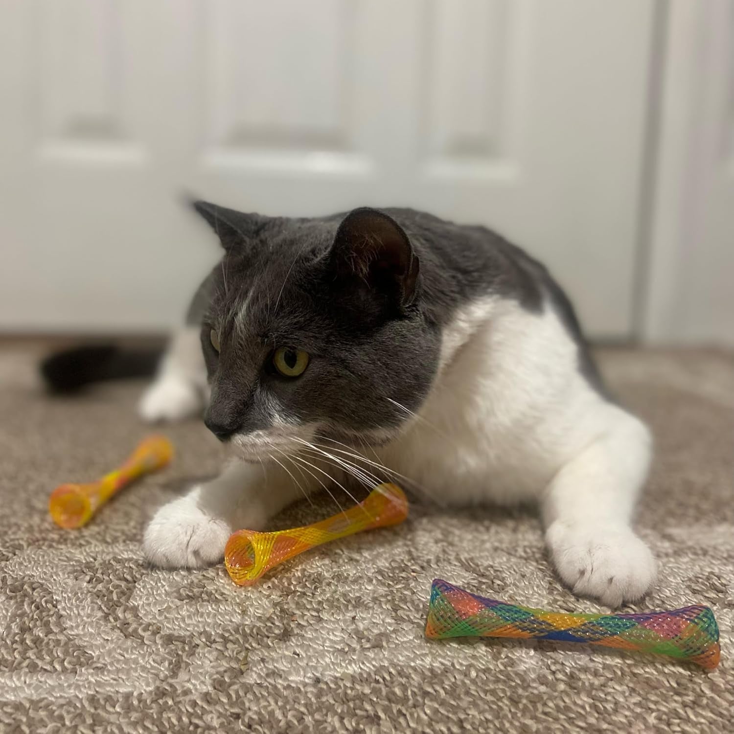 Ethical Pet Catnip Cat or Kitten Toy, Colorful Fun Tubes. Interactive Bouncy Cat Toy, Assorted Color