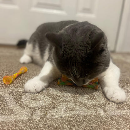 Ethical Pet Catnip Cat or Kitten Toy, Colorful Fun Tubes. Interactive Bouncy Cat Toy, Assorted Color